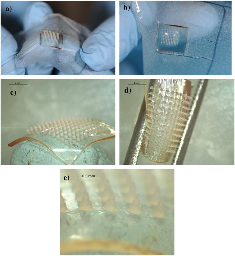 https://cdn.ncbi.nlm.nih.gov/pmc/blobs/3fd0/7228965/524c67977d94/13346_2020_727_Fig6_HTML.jpg