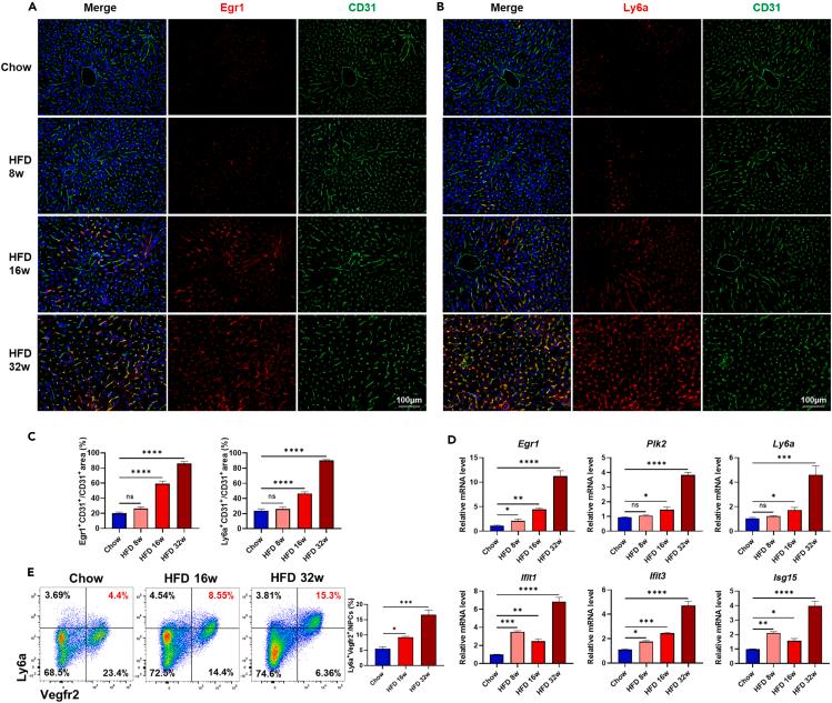 https://cdn.ncbi.nlm.nih.gov/pmc/blobs/3fd4/10131129/d26fc682964a/gr5.jpg