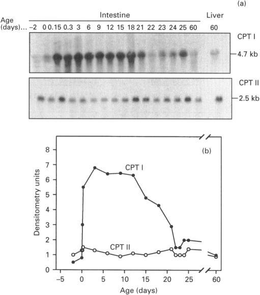 https://cdn.ncbi.nlm.nih.gov/pmc/blobs/3fd4/1136532/6ca2f328dbe9/biochemj00068-0074-a.jpg