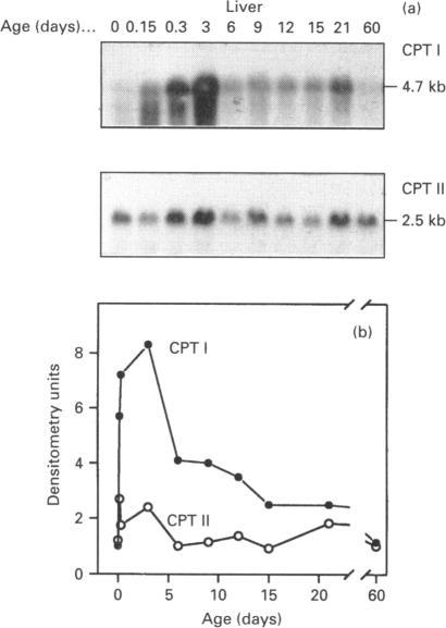https://cdn.ncbi.nlm.nih.gov/pmc/blobs/3fd4/1136532/855768d9b8ca/biochemj00068-0076-a.jpg