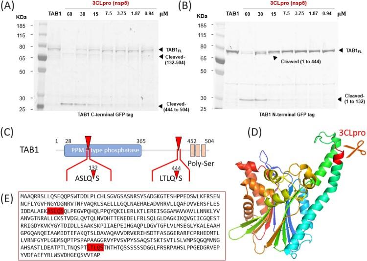 https://cdn.ncbi.nlm.nih.gov/pmc/blobs/3fd4/7850364/94a1e19ec468/TEMI_A_1870414_F0003_OC.jpg