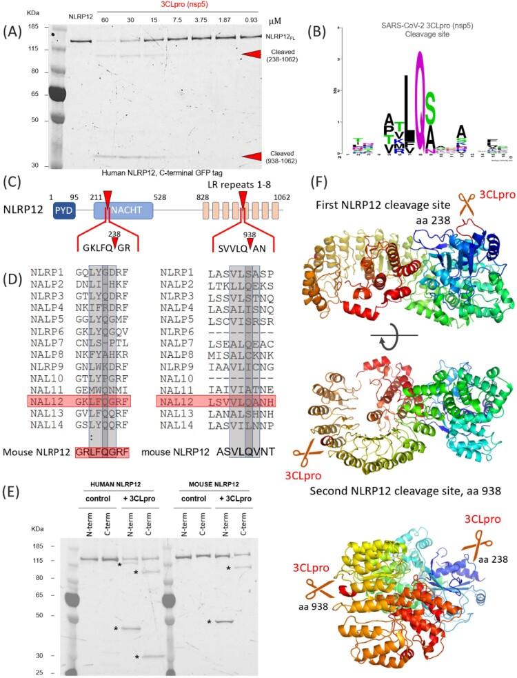 https://cdn.ncbi.nlm.nih.gov/pmc/blobs/3fd4/7850364/b3edc715fc88/TEMI_A_1870414_F0004_OC.jpg