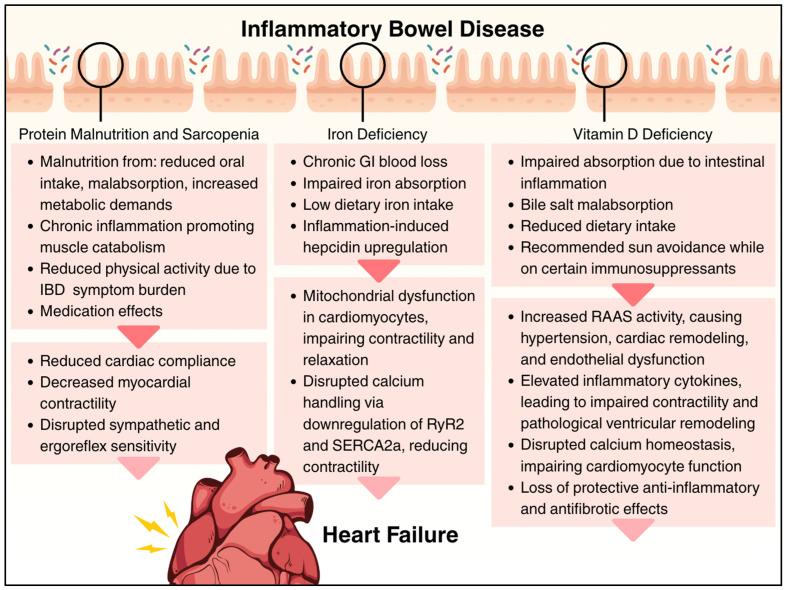 https://cdn.ncbi.nlm.nih.gov/pmc/blobs/3fd5/12293421/da2fa9b3987a/cells-14-01124-g005.jpg