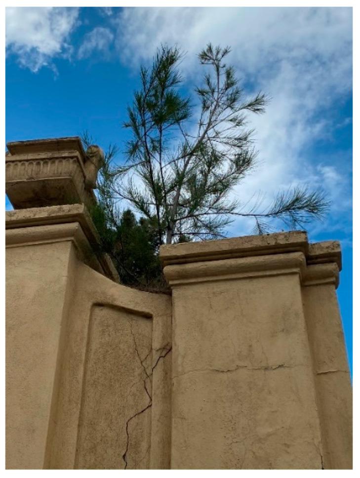 https://cdn.ncbi.nlm.nih.gov/pmc/blobs/3fd5/7569777/8371aa9418b0/plants-09-01181-g0A4.jpg