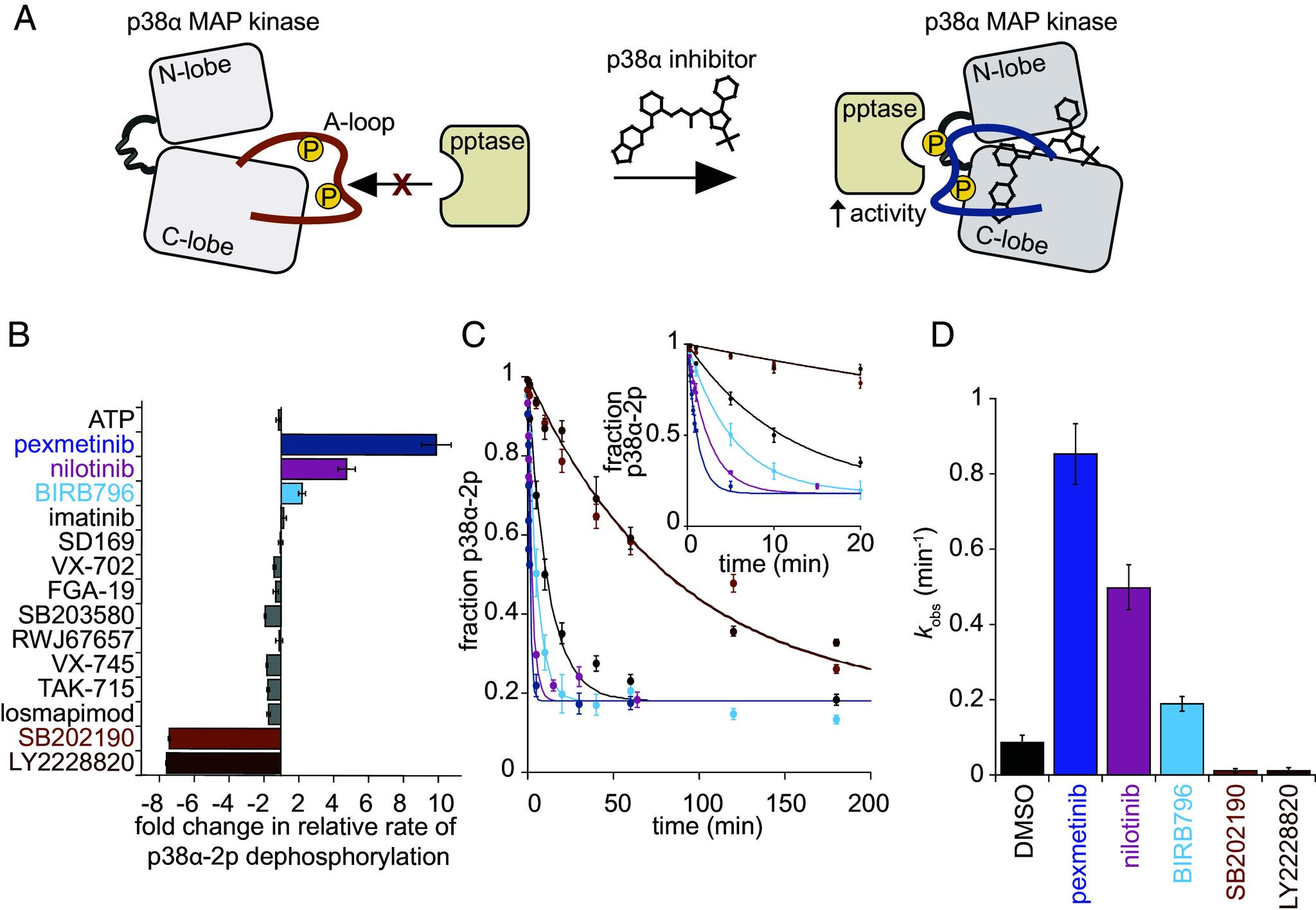 https://cdn.ncbi.nlm.nih.gov/pmc/blobs/3fd6/11725910/1752eafc6eb4/pnas.2415150122fig01.jpg