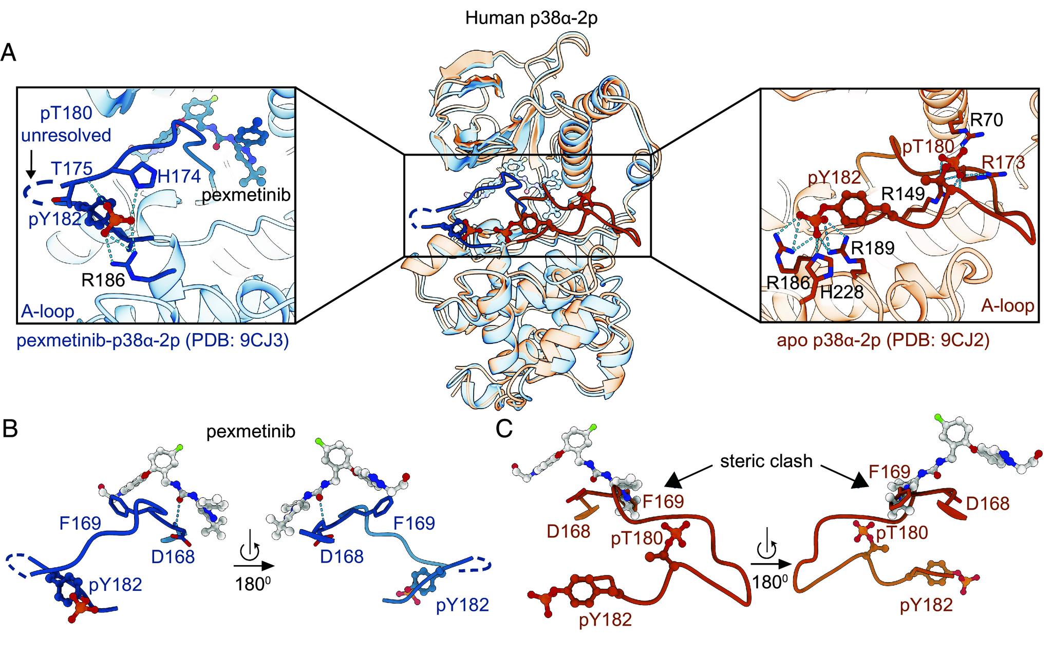 https://cdn.ncbi.nlm.nih.gov/pmc/blobs/3fd6/11725910/eb035ef5c129/pnas.2415150122fig02.jpg