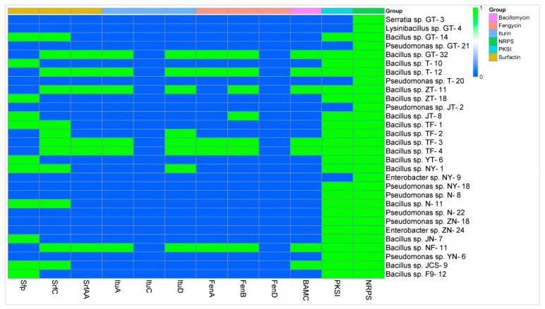 https://cdn.ncbi.nlm.nih.gov/pmc/blobs/3fd6/12114483/a9c97d835f71/microorganisms-13-01012-g004.jpg