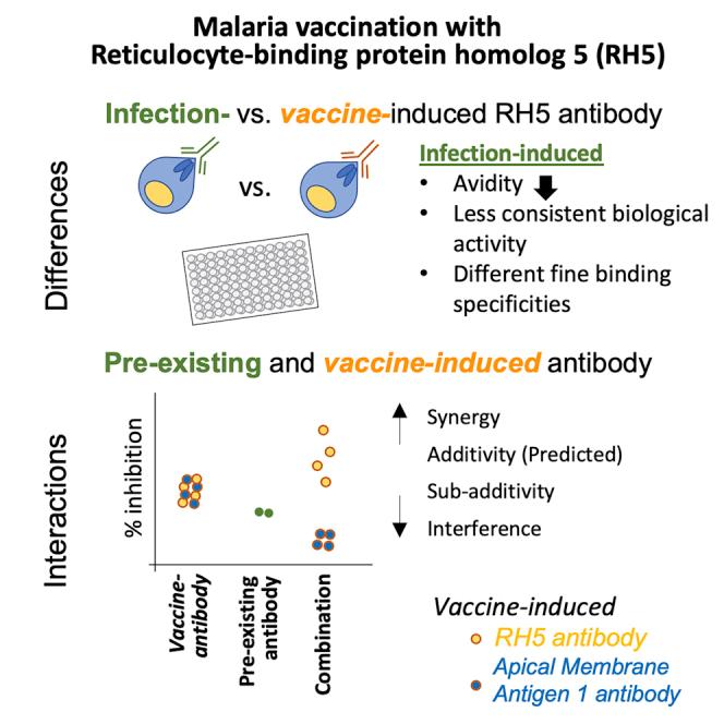 https://cdn.ncbi.nlm.nih.gov/pmc/blobs/3fd6/8324462/2beb084c6aa7/fx1.jpg