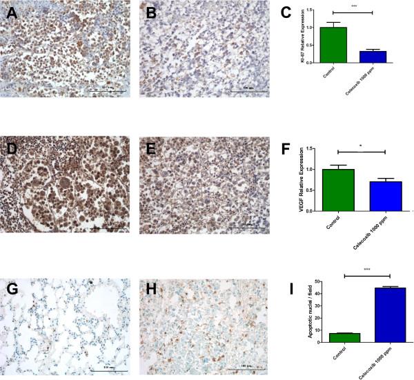 https://cdn.ncbi.nlm.nih.gov/pmc/blobs/3fd9/4101715/a394a9dc1fd2/40659_2014_20_Fig4_HTML.jpg