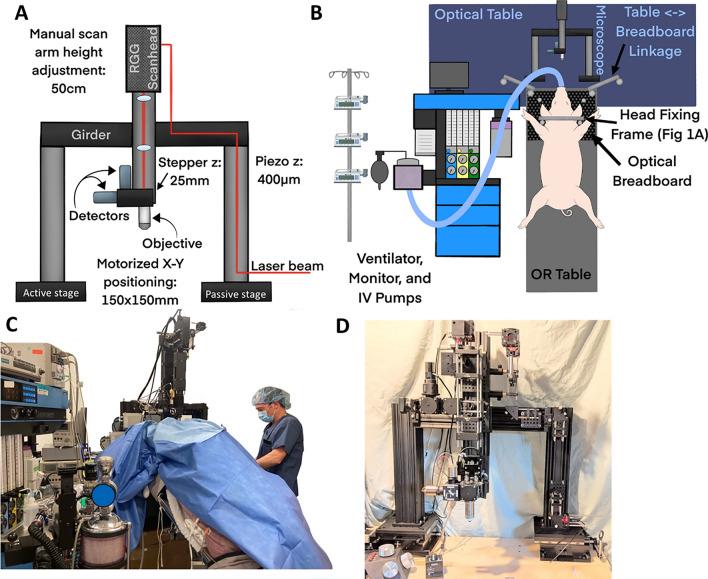 https://cdn.ncbi.nlm.nih.gov/pmc/blobs/3fdd/10465491/ddc671eb6c89/41598_2023_40638_Fig4_HTML.jpg