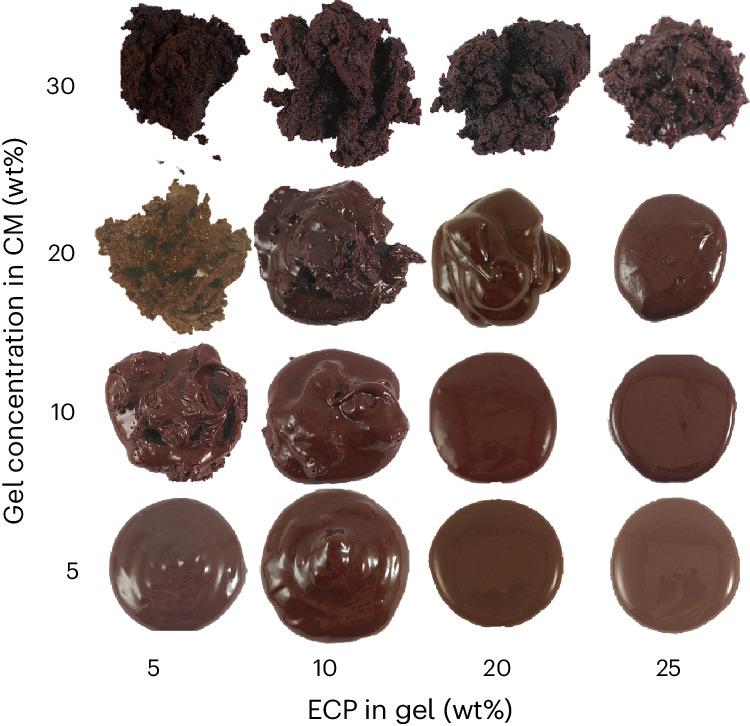 https://cdn.ncbi.nlm.nih.gov/pmc/blobs/3fdd/11132982/9705d9e1580a/43016_2024_967_Fig3_HTML.jpg