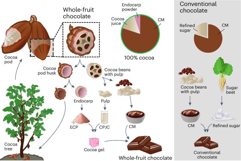 https://cdn.ncbi.nlm.nih.gov/pmc/blobs/3fdd/11132982/dfd276ce8937/43016_2024_967_Fig1_HTML.jpg