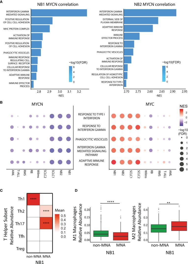 https://cdn.ncbi.nlm.nih.gov/pmc/blobs/3fde/7951059/da5f1b40d467/fonc-11-625207-g001.jpg