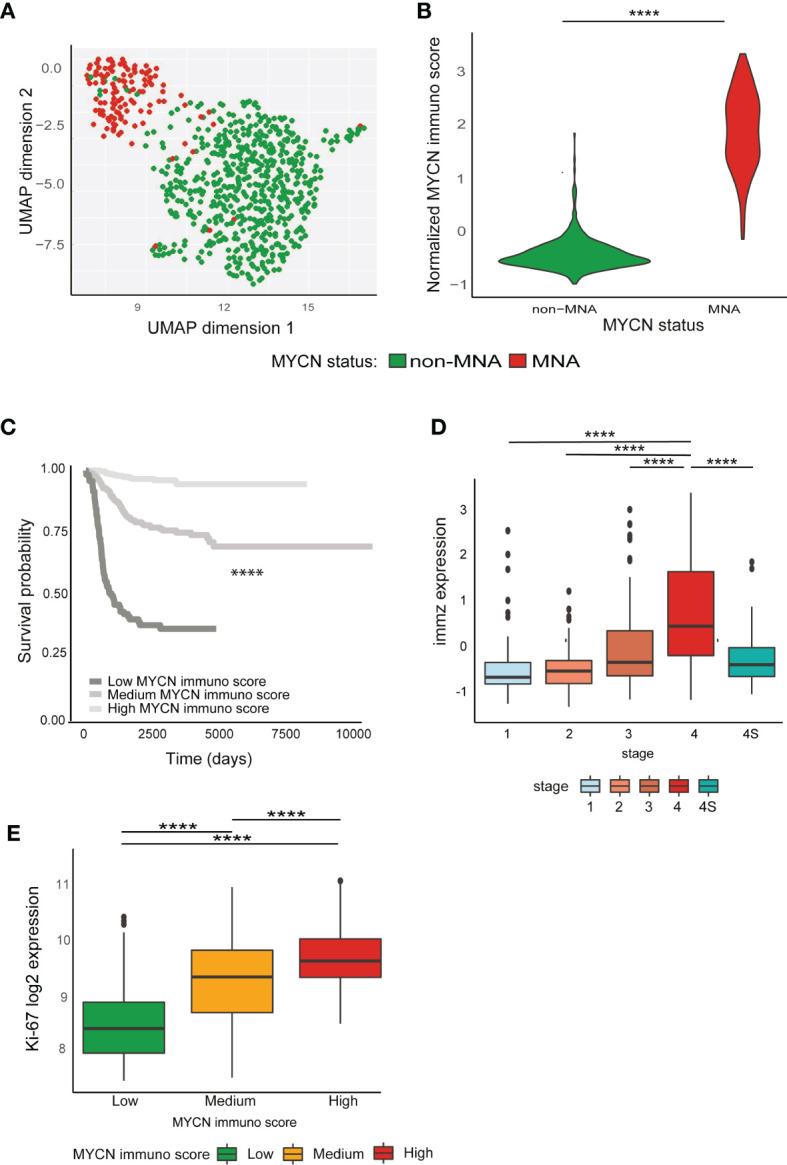 https://cdn.ncbi.nlm.nih.gov/pmc/blobs/3fde/7951059/f04e9a6a0bf5/fonc-11-625207-g003.jpg