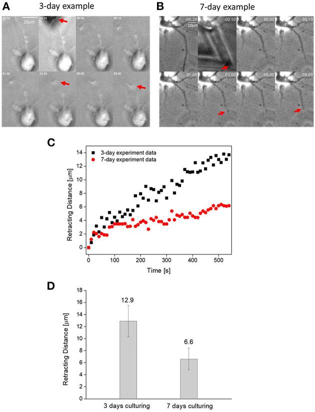https://cdn.ncbi.nlm.nih.gov/pmc/blobs/3fe0/7815929/c809da2bb108/fbioe-08-621777-g0002.jpg