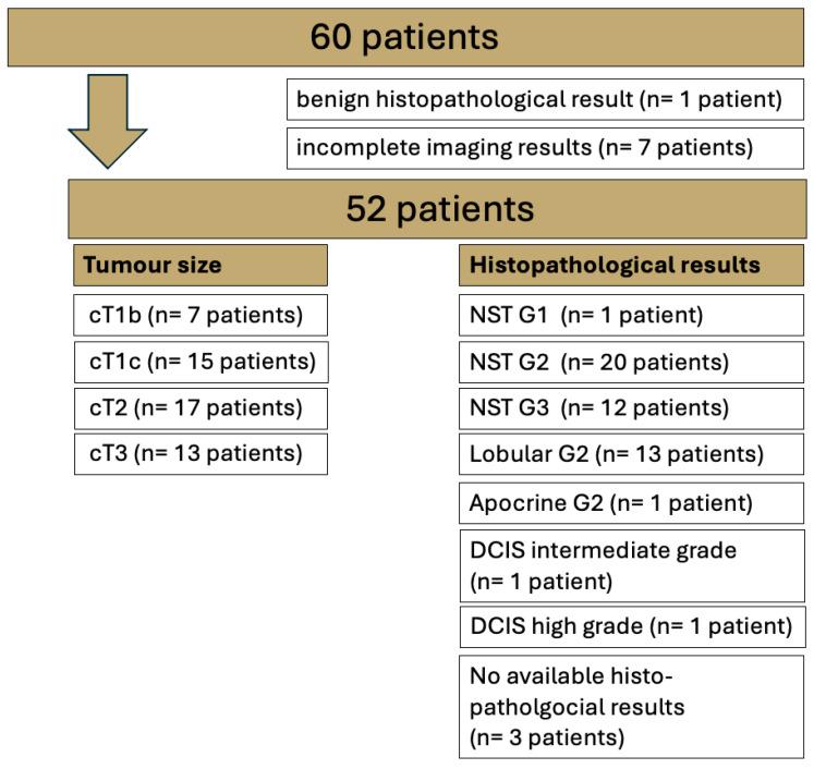 https://cdn.ncbi.nlm.nih.gov/pmc/blobs/3fe1/12248570/0e4465d0fc23/diagnostics-15-01681-g001.jpg