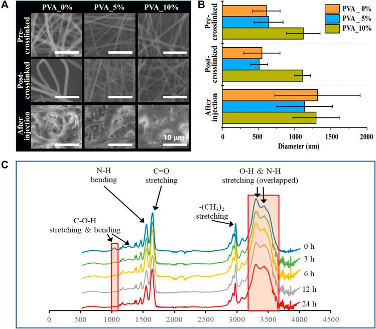 https://cdn.ncbi.nlm.nih.gov/pmc/blobs/3fe1/9669589/e42ae576cd33/fbioe-10-1046147-g001.jpg