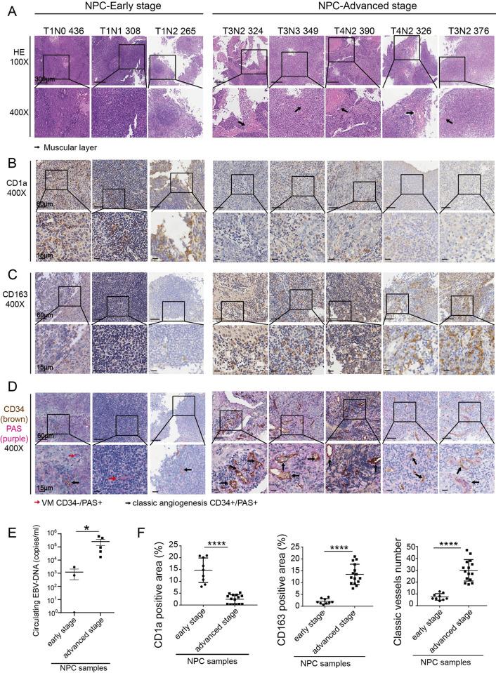 https://cdn.ncbi.nlm.nih.gov/pmc/blobs/3fe2/10846743/7079dd6c053a/ppat.1011934.g006.jpg