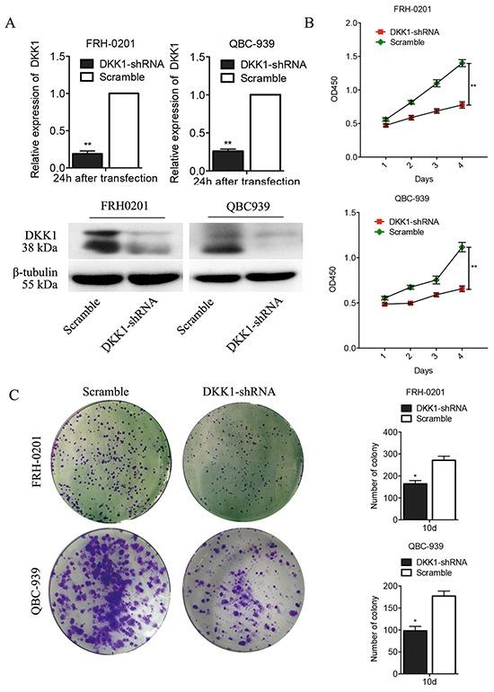 https://cdn.ncbi.nlm.nih.gov/pmc/blobs/3fe2/5342559/01dbaa7237bc/oncotarget-07-70378-g002.jpg