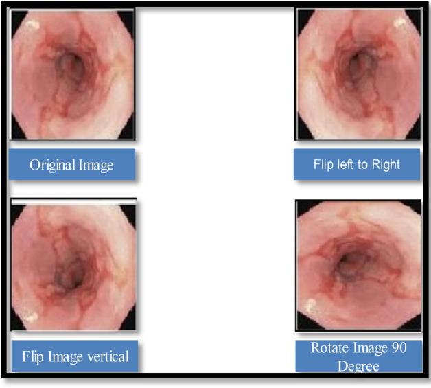 https://cdn.ncbi.nlm.nih.gov/pmc/blobs/3fe4/12402331/6e71648845a0/41598_2025_17204_Fig4_HTML.jpg