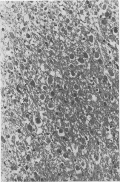 https://cdn.ncbi.nlm.nih.gov/pmc/blobs/3fe5/1519994/8242db75dc45/jcpsupproyal00009-0163-a.jpg