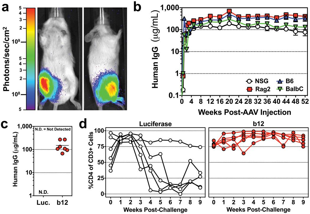 https://cdn.ncbi.nlm.nih.gov/pmc/blobs/3fe5/3253190/41260c52fdff/nihms333653f1.jpg