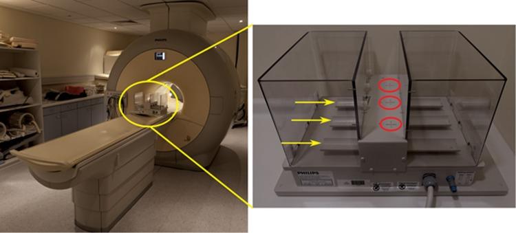 https://cdn.ncbi.nlm.nih.gov/pmc/blobs/3fe7/5589996/a752dc8289a3/bjc2017251f1.jpg