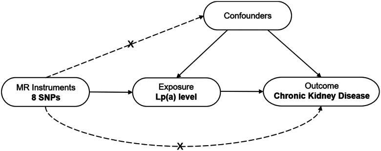 https://cdn.ncbi.nlm.nih.gov/pmc/blobs/3fe8/11293262/33ae1703b689/IRNF_A_2383727_F0001_B.jpg