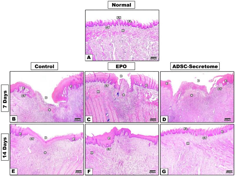 https://cdn.ncbi.nlm.nih.gov/pmc/blobs/3fe8/11411902/22ce68e9819c/12903_2024_4835_Fig3_HTML.jpg