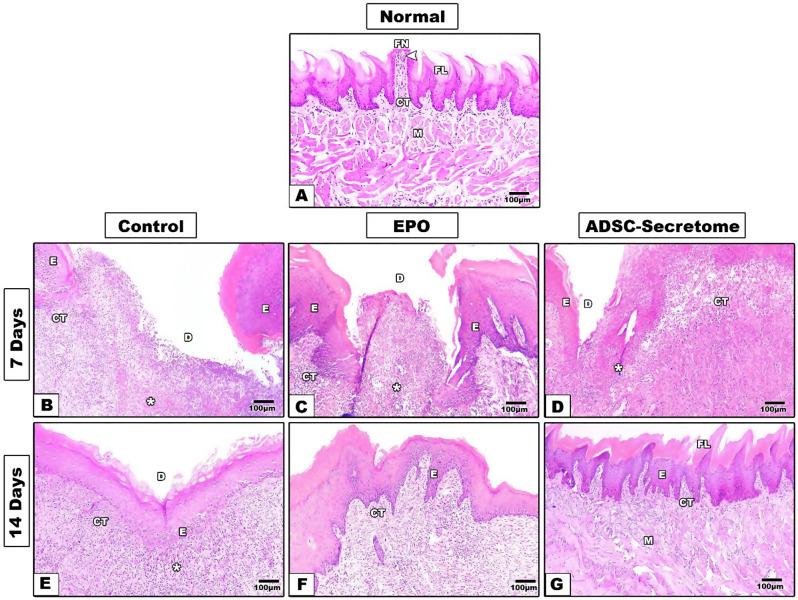 https://cdn.ncbi.nlm.nih.gov/pmc/blobs/3fe8/11411902/2d89a1d5182e/12903_2024_4835_Fig4_HTML.jpg