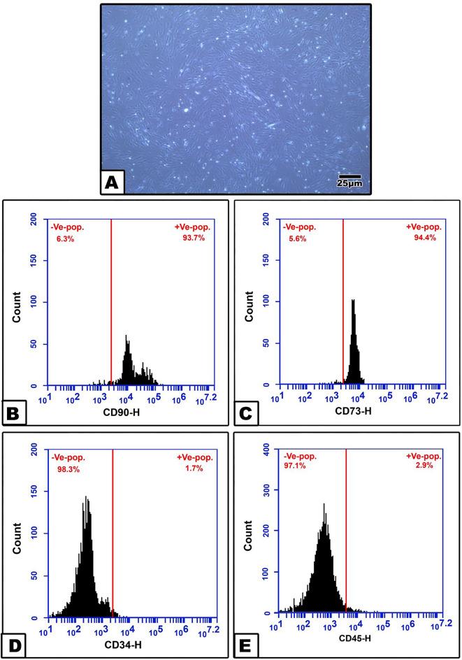 https://cdn.ncbi.nlm.nih.gov/pmc/blobs/3fe8/11411902/e7c7d3e30d43/12903_2024_4835_Fig2_HTML.jpg