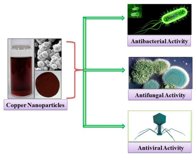https://cdn.ncbi.nlm.nih.gov/pmc/blobs/3fe8/9407327/04428799f2ae/gels-08-00503-g007.jpg