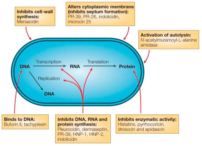 https://cdn.ncbi.nlm.nih.gov/pmc/blobs/3fe8/9407327/57e794c581ea/gels-08-00503-g009.jpg