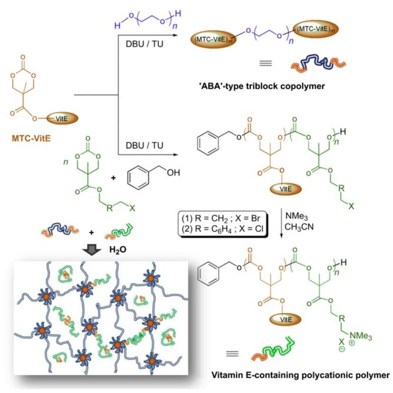 https://cdn.ncbi.nlm.nih.gov/pmc/blobs/3fe8/9407327/9632ba380000/gels-08-00503-g010.jpg