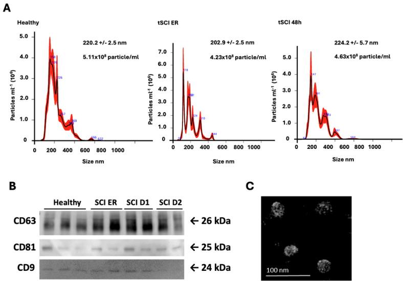 https://cdn.ncbi.nlm.nih.gov/pmc/blobs/3fea/11656158/745dd8eec0aa/fimmu-15-1478786-g001.jpg