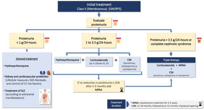 https://cdn.ncbi.nlm.nih.gov/pmc/blobs/3fed/10468759/5f48f1ba7908/sfad055fig5.jpg