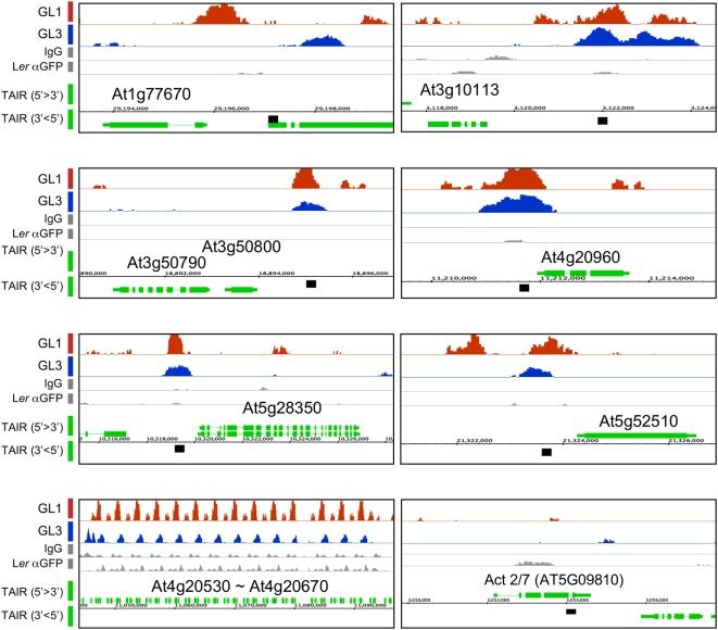 https://cdn.ncbi.nlm.nih.gov/pmc/blobs/3ff0/2642726/17a04b14ec0c/pgen.1000396.g002.jpg