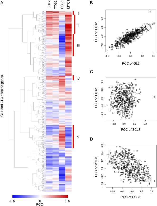 https://cdn.ncbi.nlm.nih.gov/pmc/blobs/3ff0/2642726/8549323539a1/pgen.1000396.g006.jpg
