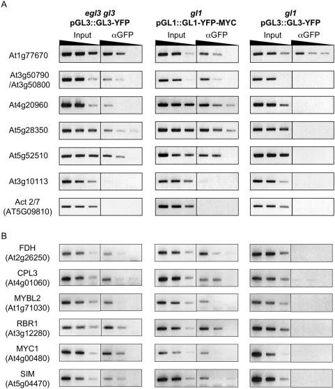 https://cdn.ncbi.nlm.nih.gov/pmc/blobs/3ff0/2642726/a2ff7862e875/pgen.1000396.g003.jpg