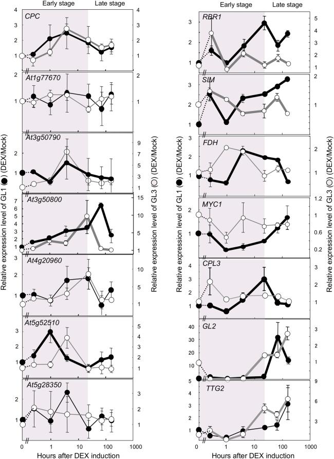 https://cdn.ncbi.nlm.nih.gov/pmc/blobs/3ff0/2642726/fcabd542d2ef/pgen.1000396.g005.jpg