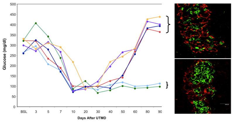 https://cdn.ncbi.nlm.nih.gov/pmc/blobs/3ff0/2932866/61ad9b82e3b1/nihms196784f5.jpg