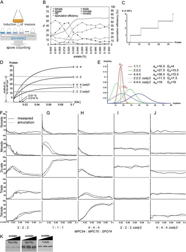 https://cdn.ncbi.nlm.nih.gov/pmc/blobs/3ff1/2171547/f5c93dccb14b/200507168f6.jpg