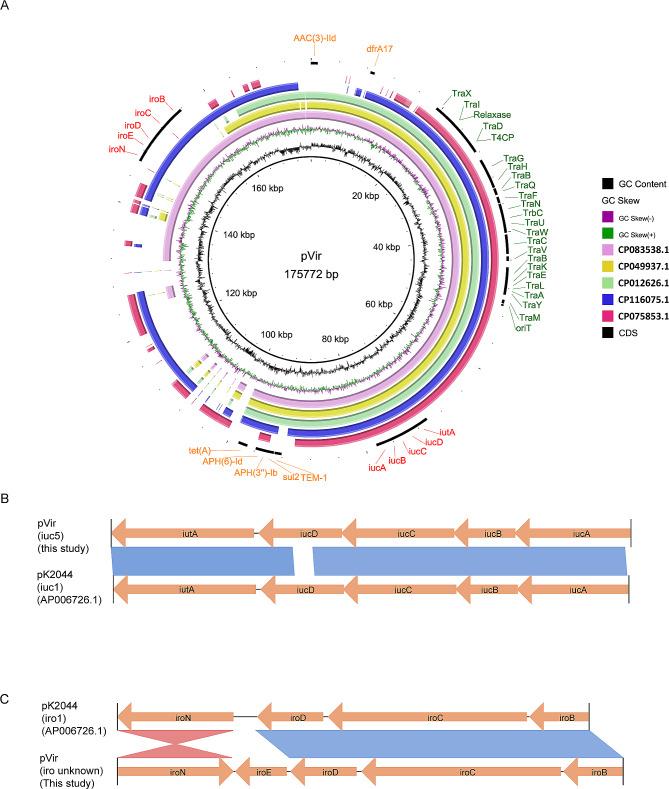https://cdn.ncbi.nlm.nih.gov/pmc/blobs/3ff3/11184858/1441e0f65ab5/13756_2024_1423_Fig3_HTML.jpg