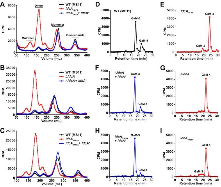 https://cdn.ncbi.nlm.nih.gov/pmc/blobs/3ff4/5646250/6a372185b4b2/mbo0051735410002.jpg