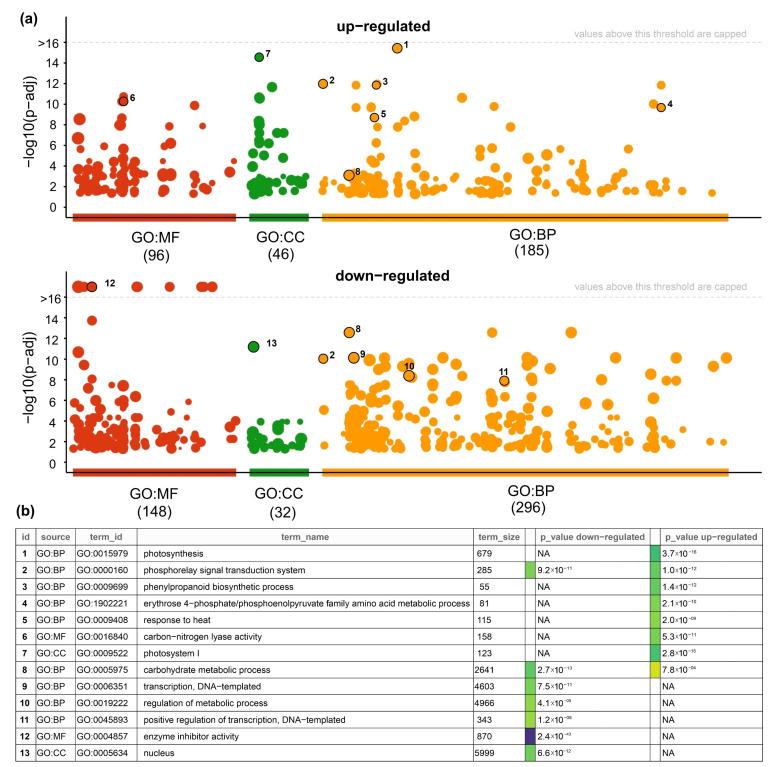 https://cdn.ncbi.nlm.nih.gov/pmc/blobs/3ff6/8747107/54815bf9c4db/plants-11-00059-g005.jpg