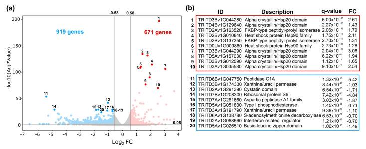 https://cdn.ncbi.nlm.nih.gov/pmc/blobs/3ff6/8747107/c24d8094c061/plants-11-00059-g004.jpg