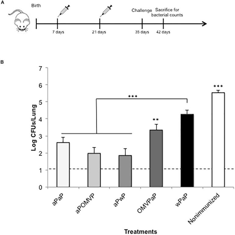 https://cdn.ncbi.nlm.nih.gov/pmc/blobs/3ff7/7182080/5a2bc969b467/fmicb-11-00723-g003.jpg