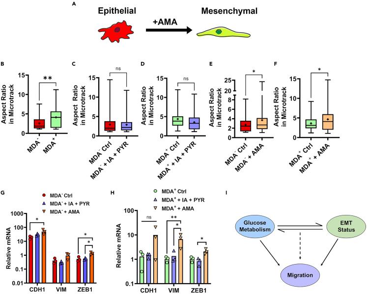 https://cdn.ncbi.nlm.nih.gov/pmc/blobs/3ff7/9579510/f8c5ce5ba831/gr6.jpg