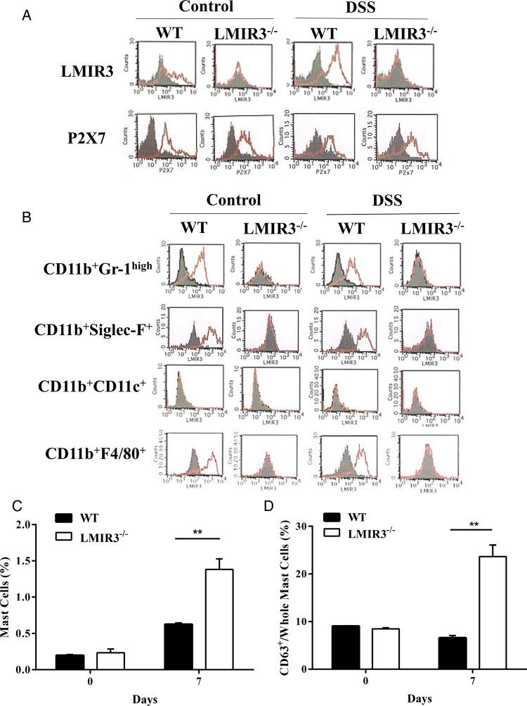 https://cdn.ncbi.nlm.nih.gov/pmc/blobs/3ff8/4853571/226e8e895a7b/gutjnl-2014-308900f02.jpg
