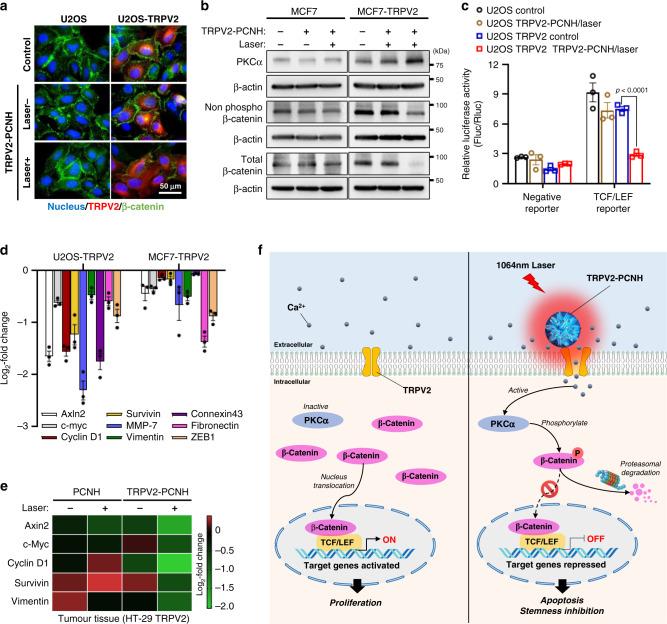 https://cdn.ncbi.nlm.nih.gov/pmc/blobs/3ff8/7431860/bdbbcd8b3d18/41467_2020_17768_Fig7_HTML.jpg